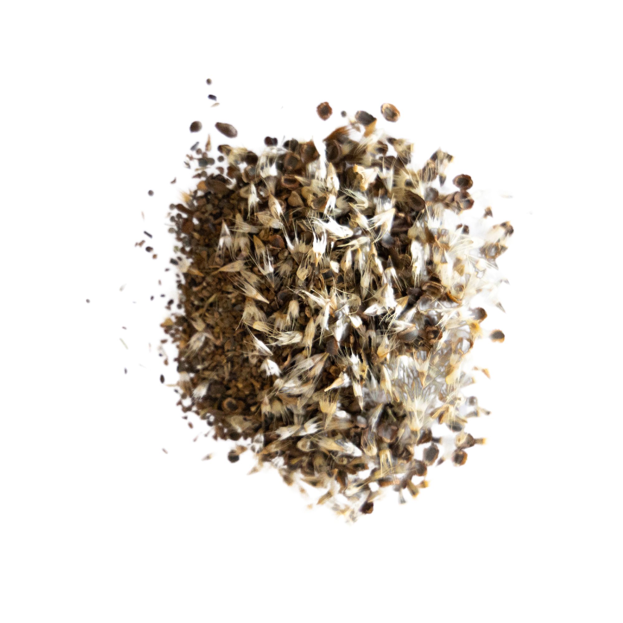 Pollinator Flower Seeds Mix - Western - 1/4 LB - Sows ~1400 Sq. Ft. - Wild Flower Seed Blend - Non-GMO, Heirloom Garden & Garden